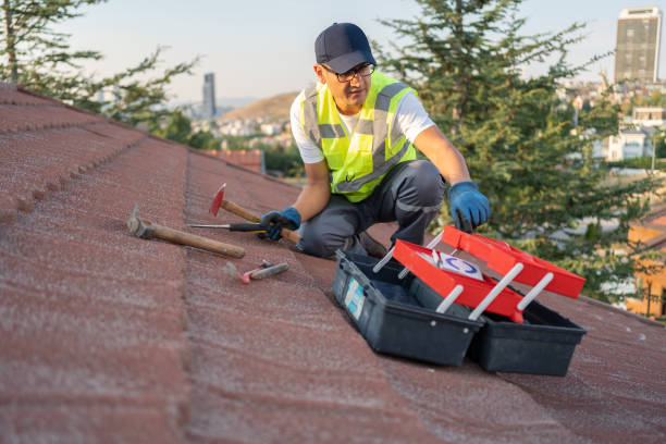 Best Siding Removal and Disposal  in Pine Lake Park, NJ